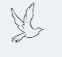 dove