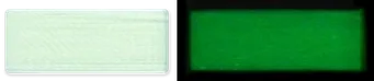 L4